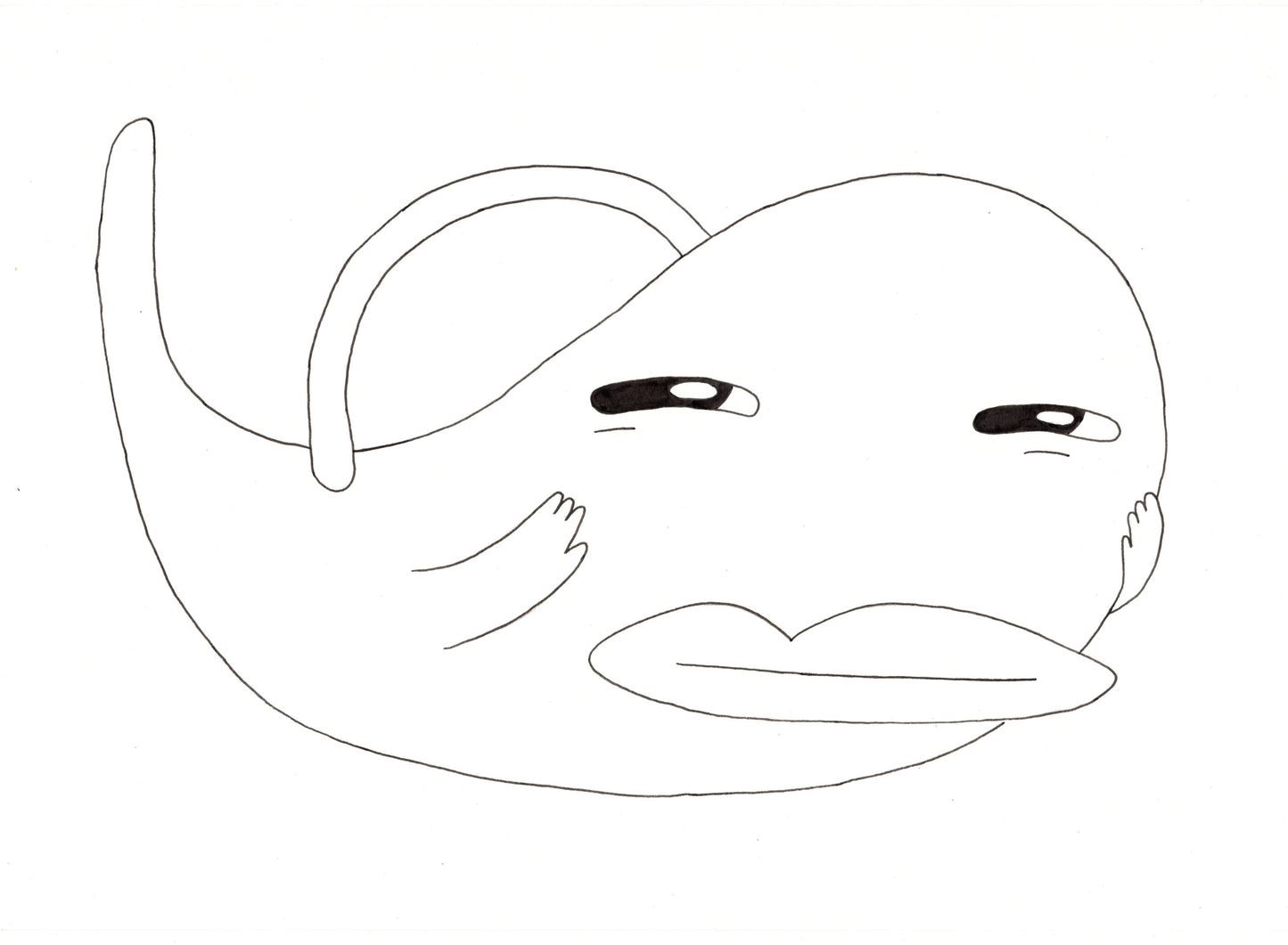 Black + White Series #31